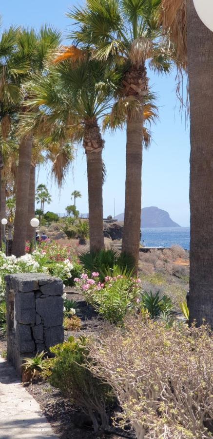 Cosy Well Located Apartment Tenerife Sur Golf San Miguel de Abona Ngoại thất bức ảnh